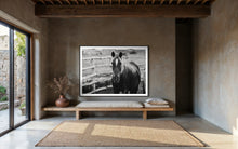 Load image into Gallery viewer, Charming living space showcasing the black and white horse art 'Limited Edition Horse Pictures - Morose Molly 0211 by Addison Jones Studio', beautifully framed, adding rustic elegance to the room.