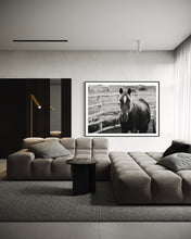 Load image into Gallery viewer, Stylish modern lounge highlighting a striking framed image of a horse, 'Limited Edition Horse Pictures - Morose Molly 0211 by Addison Jones Studio', complementing the minimalist decor.