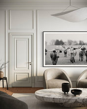 Load image into Gallery viewer, Texas Longhorn Photography Prints For Sale-Bold Bloodline