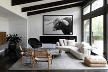 Load image into Gallery viewer, An exquisite living room showcasing a Longhorn black white photograph prominently displayed above a modern white sofa. The photograph enhances the luxury ambiance of the space, blending rustic charm with contemporary design aesthetics.