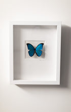 Load image into Gallery viewer, Blue Butterfly Wall Decor-No. 1267 Light+Vivid
