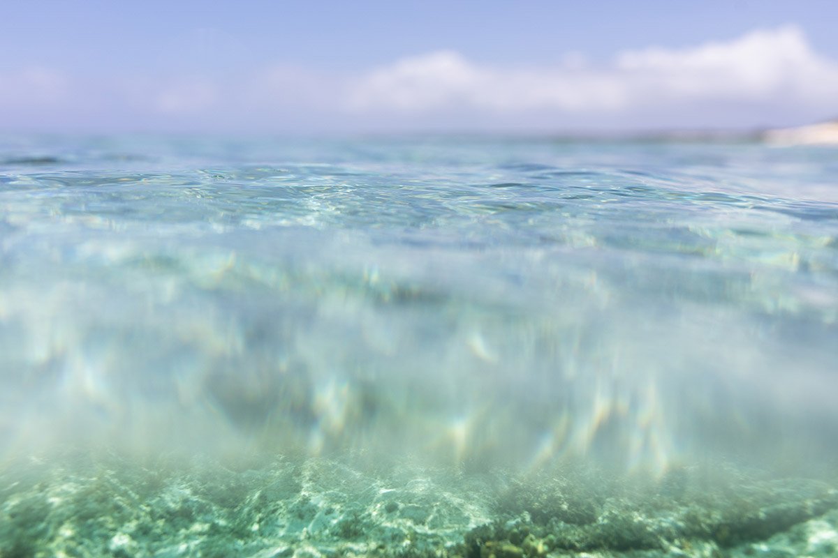 Coastal Wall Decor-Oceana