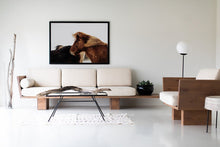 Load image into Gallery viewer, Horse Photos-Bernie 
This shot was part of a landscape series featuring horse photos. This horse photo named "Bernie" was taken in Patagonia. This is a limited edition, hand-signed piece with a certificate of authenticity.
E D I T I O N:
1/25