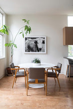 Load image into Gallery viewer, Photography For Sale-Ebony and Ivory