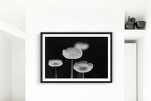 Load image into Gallery viewer, Art Photography-Gossamer Shadows