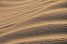 Load image into Gallery viewer, Buy Photography Prints-Sandy Toes
This photography print named "Sandy Toes" was part of a landscape series featuring sand dunes. This is a limited edition, hand-signed piece with a certificate of authenticity.
E D I T I O N:
1/25