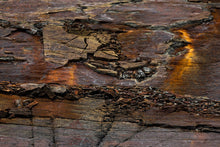 Load image into Gallery viewer, Framed Photography-Embers Ash
This piece of framed photography named "Embers Ash" was part of a landscape series shot in Patagonia. This is a limited edition, hand-signed piece with a certificate of authenticity.
E D I T I O N:
1/25