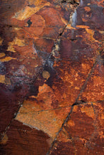 Load image into Gallery viewer, This framed print named "Cold Cinder" was part of a landscape series shot in Patagonia. This is a limited edition, hand-signed piece with a certificate of authenticity. Abundant sharing will go to the iiilibervive foundation that helps support local + faire trade designers and artisans.
E D I T I O N:
1/25