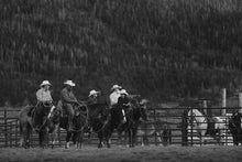 Load image into Gallery viewer, Horse Pictures-Herd of Honor