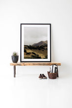 Load image into Gallery viewer, Adventurous Arnold 0238, displayed as a wild horse photography print, showcases a framed image of a horse in a natural landscape, elegantly placed on a wooden bench with decorative elements.