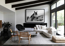 Load image into Gallery viewer, A beautifully designed living room featuring the 'Horse Wall Art' prominently displayed above a modern sofa. The elegant decor complements the black and white horse artwork, enhancing the room's stylish ambiance.