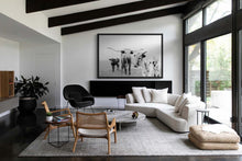 Load image into Gallery viewer, Longhorn Art-Field Family