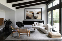Load image into Gallery viewer, Longhorn Wall Art-Solemn Sam