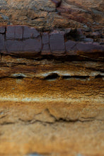 Load image into Gallery viewer, This modern art piece named "Textured Tones" was part of a landscape series shot in Patagonia. This is a limited edition, hand-signed piece with a certificate of authenticity. Abundant sharing will go to the iiilibervive foundation that helps support local + faire trade designers and artisans.
E D I T I O N:
1/25