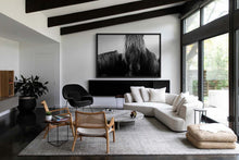 Load image into Gallery viewer, Modern living room design with the 'Mop Head 8120' wild horse photo framed and displayed prominently, from Addison Jones Studio.