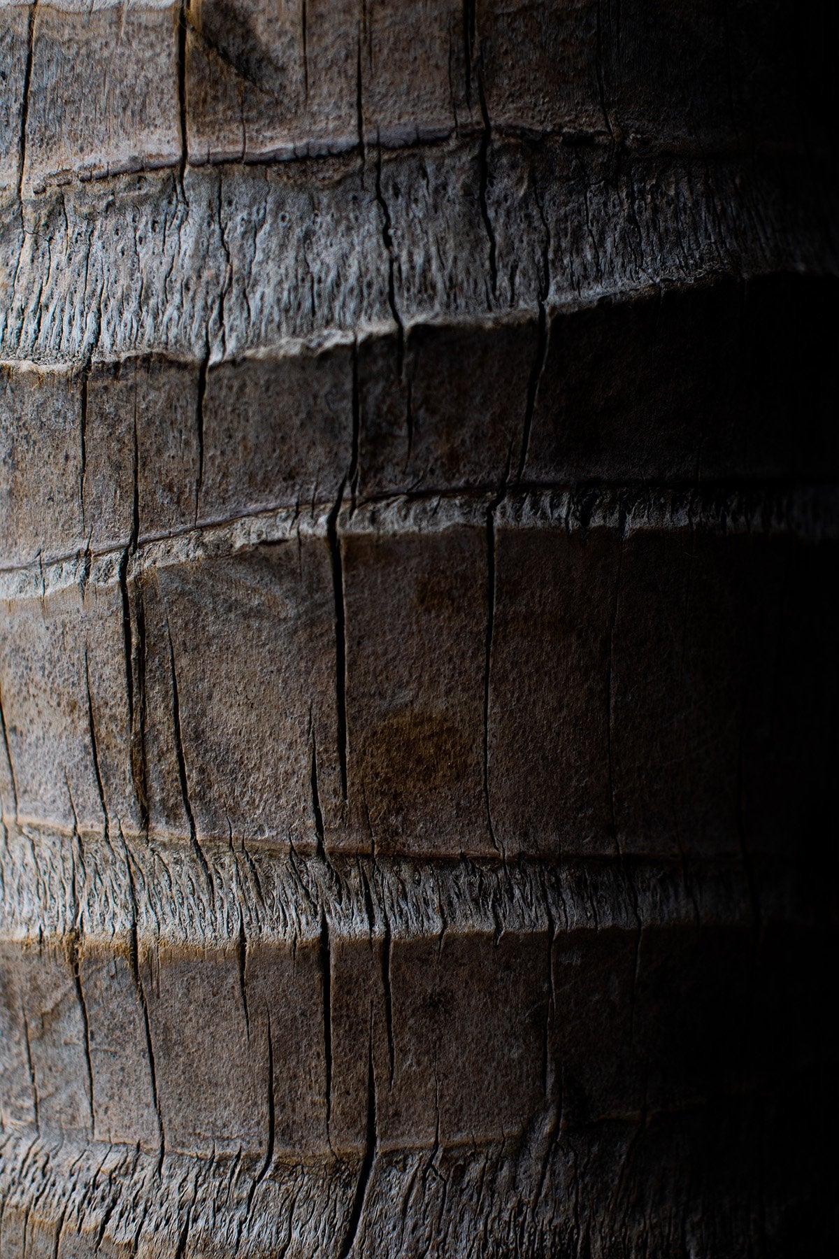 Wall Art Photography-Rustic Timber
This piece of wall art photography titled