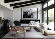 Load image into Gallery viewer, An elegantly designed living room featuring a large framed black and white photo of a white horse on the wall. This decor piece represents Western Photography, integrating equestrian art into a modern space with stylish furniture and natural light.