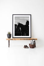 Load image into Gallery viewer, An artfully framed black and white photograph of two horses displayed in a luxurious interior setting. This piece exemplifies Western Photography, combining elegance and nature in a stunning aesthetic.