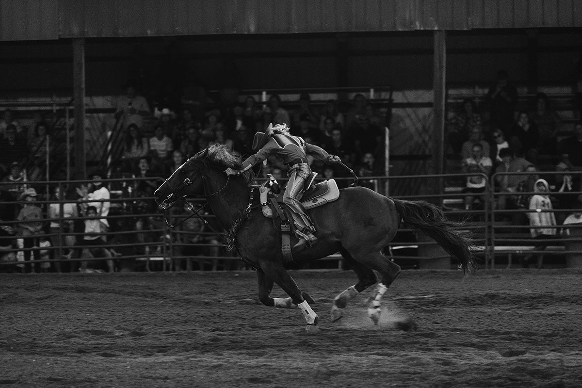Morgan Addison Rodeo RODEO | EXPERIENCE – Addison Jones Studios