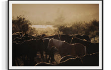 Load image into Gallery viewer, Close-up view of Horse Art - Limited Edition &#39;Horse&#39;s Flock 0225&#39;, beautifully framed to emphasize the intricate details of the horses illuminated by the morning light.
