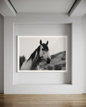 Load image into Gallery viewer, Stunning Horse Wall Art titled &#39;Perky Patrice 0213&#39; by Addison Jones Studio featured in a modern home setting, showcasing the majestic beauty of a horse with a minimalist aesthetic.
