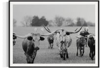 Load image into Gallery viewer, Texas Longhorn Photography Prints For Sale-Bold Bloodline
