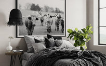 Load image into Gallery viewer, Texas Longhorn Photography Prints For Sale-Bold Bloodline
