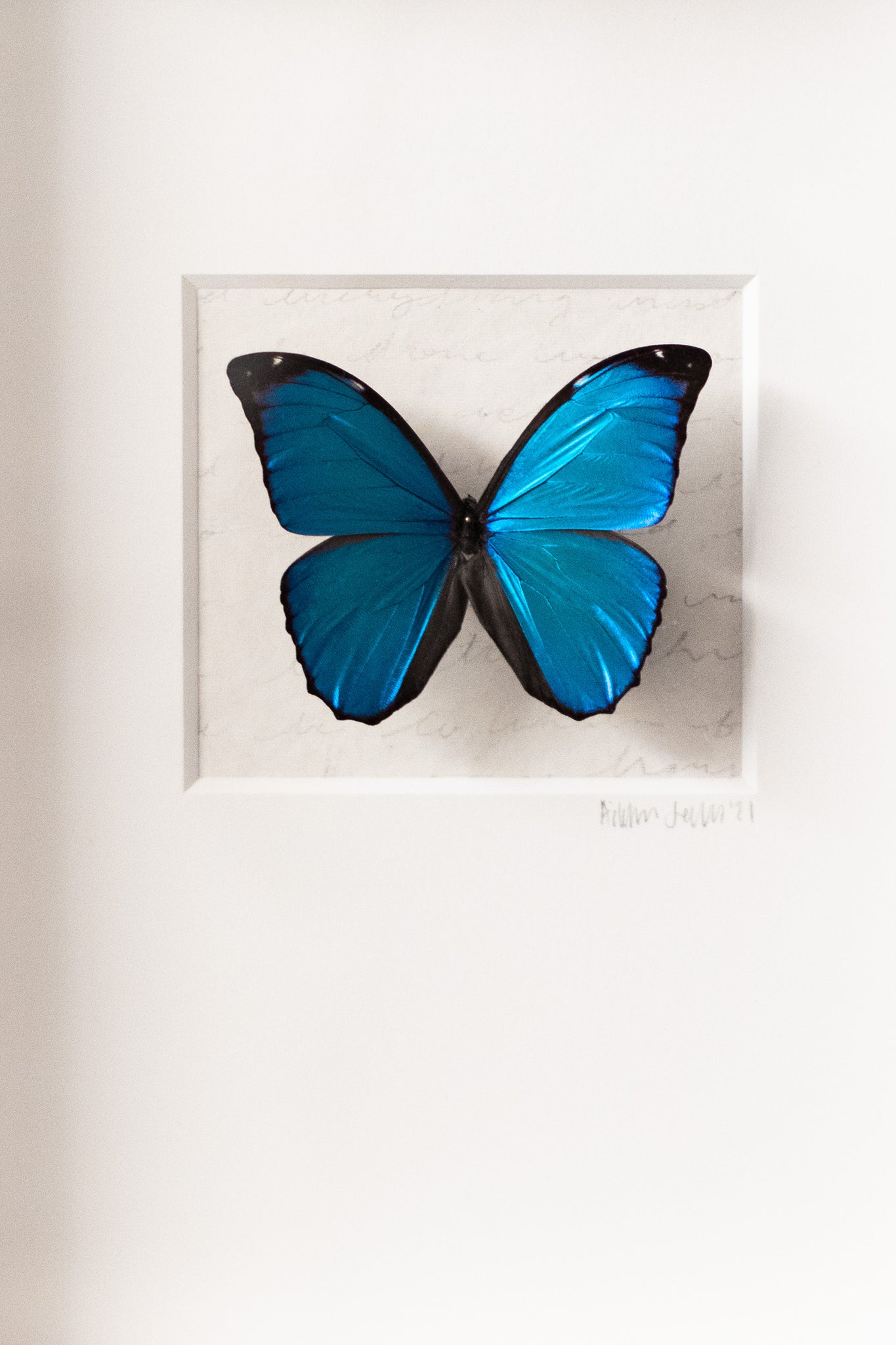 Vibrant Blue Butterfly - Modern Metal Circle Wall Art East Urban Home Size: 11 H x 11 W x 1 D
