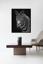 Load image into Gallery viewer, Large Wall Art-Harold

This photo was taken at a zebra sanctuary. This one, named &quot;Harold&quot; was the oldest of the bunch. This piece of large wall art would make a great feature in your home. This is a limited edition, hand-signed piece with a certificate of authenticity.

E D I T I O N:
1/25
