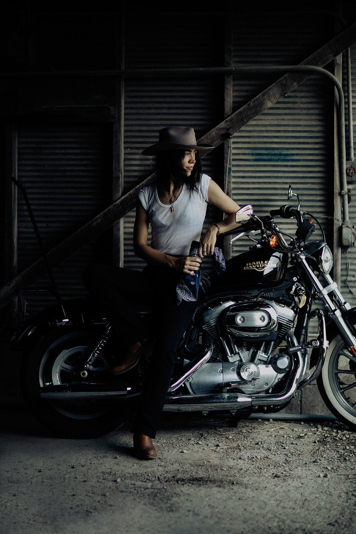 Art Photography-Wild Horses – Addison Jones Studios