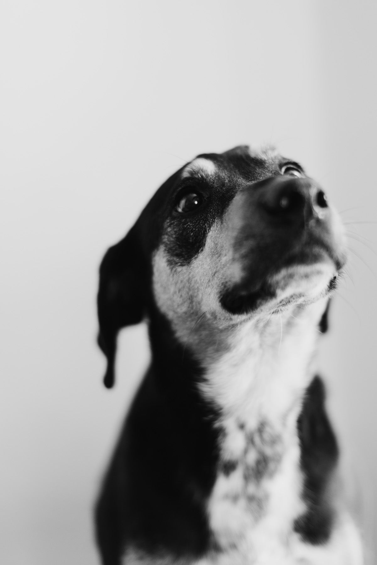 STUDIOS - PHOTOGRAPHY – Addison Jones Studios