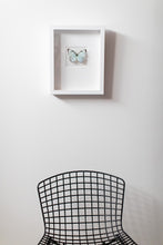 Load image into Gallery viewer, Butterfly Wall Art-No. 1269 Soft+Subtle
