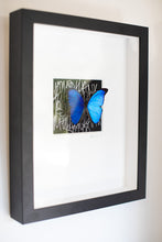 Load image into Gallery viewer, Butterfly Wall Decor-No.1268 Cobalt+Coal
