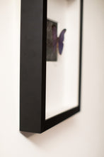 Load image into Gallery viewer, Butterfly Wall Decor-No.1268 Cobalt+Coal
