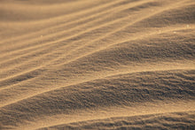 Load image into Gallery viewer, Buy Photography Prints-Sandy Toes

This photography print named &quot;Sandy Toes&quot; was part of a landscape series featuring sand dunes. This is a limited edition, hand-signed piece with a certificate of authenticity.

E D I T I O N:
1/25
