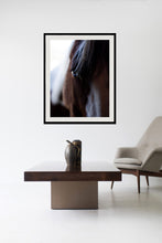 Load image into Gallery viewer, Horse Pictures-Soulful Stallion
