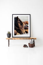 Load image into Gallery viewer, Horse Wall Art-Ruffled Rufus 027
