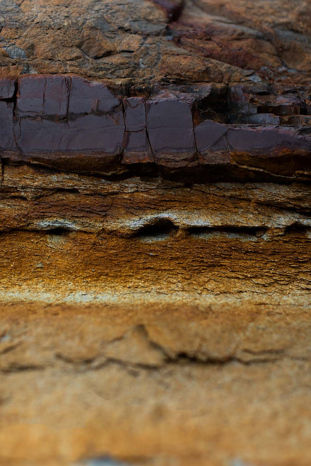 Modern – Addison Jones Studios