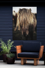 Load image into Gallery viewer, Outdoor Wall Art Prints-Surf Pony

